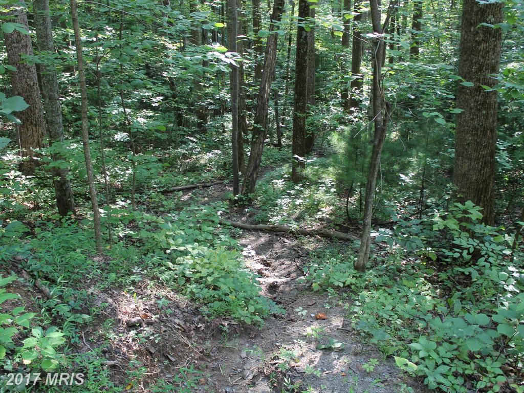 Circle Rd - Photo 1