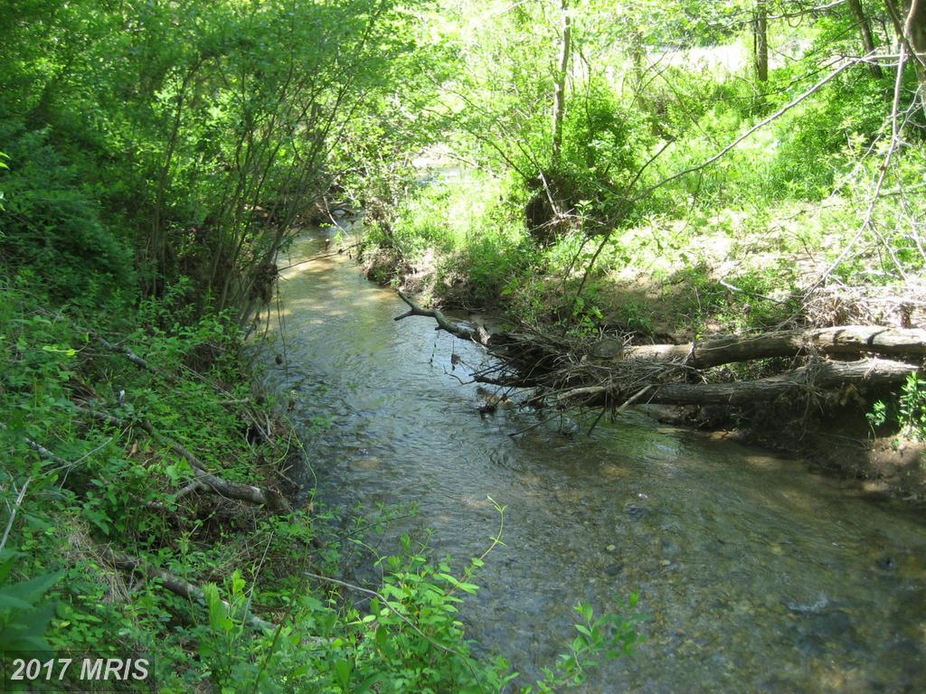 Rt 231 Ft Valley Road - Photo 1