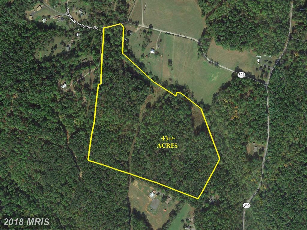 Woodward Hollow Road - Photo 1