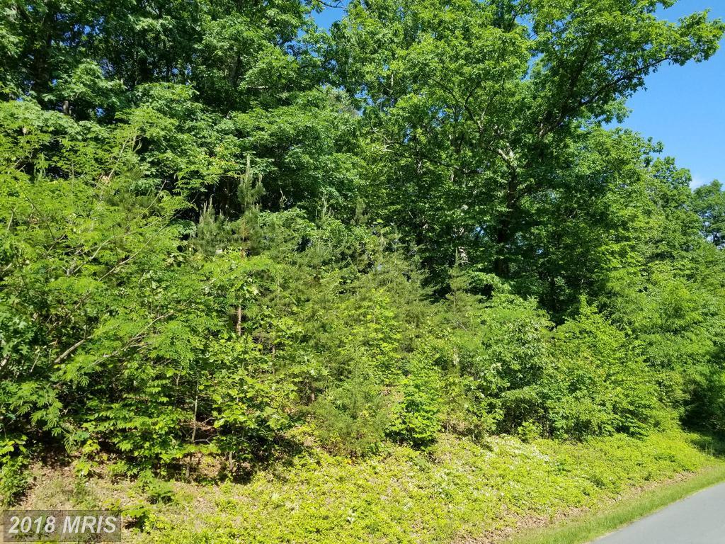 Fray's Mill Rd - Photo 1