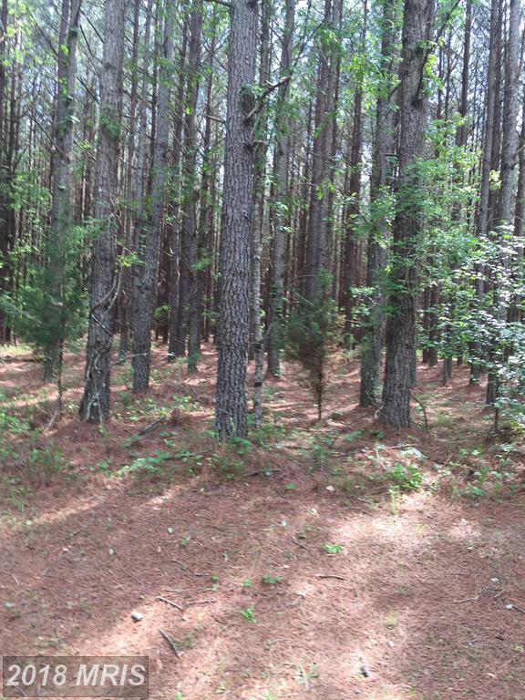 LOT 61 Pinewood Trail - Photo 1