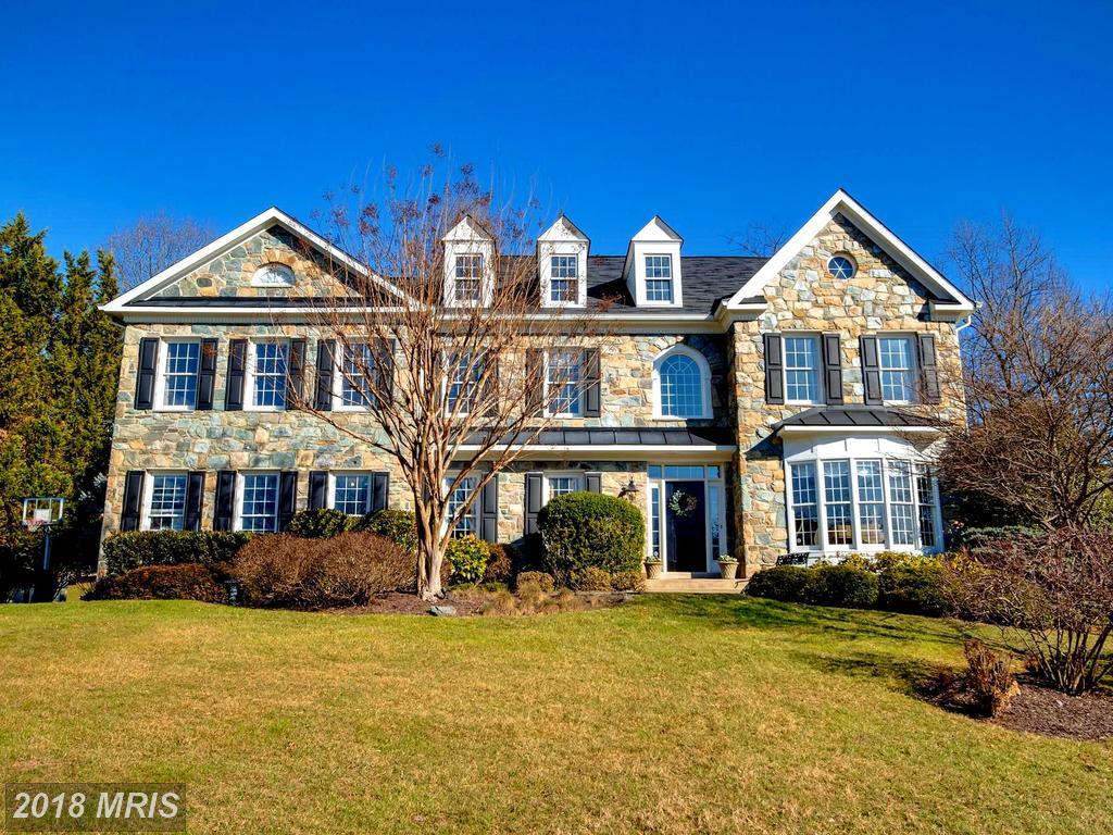 4008 Wild Grape Court - Photo 1