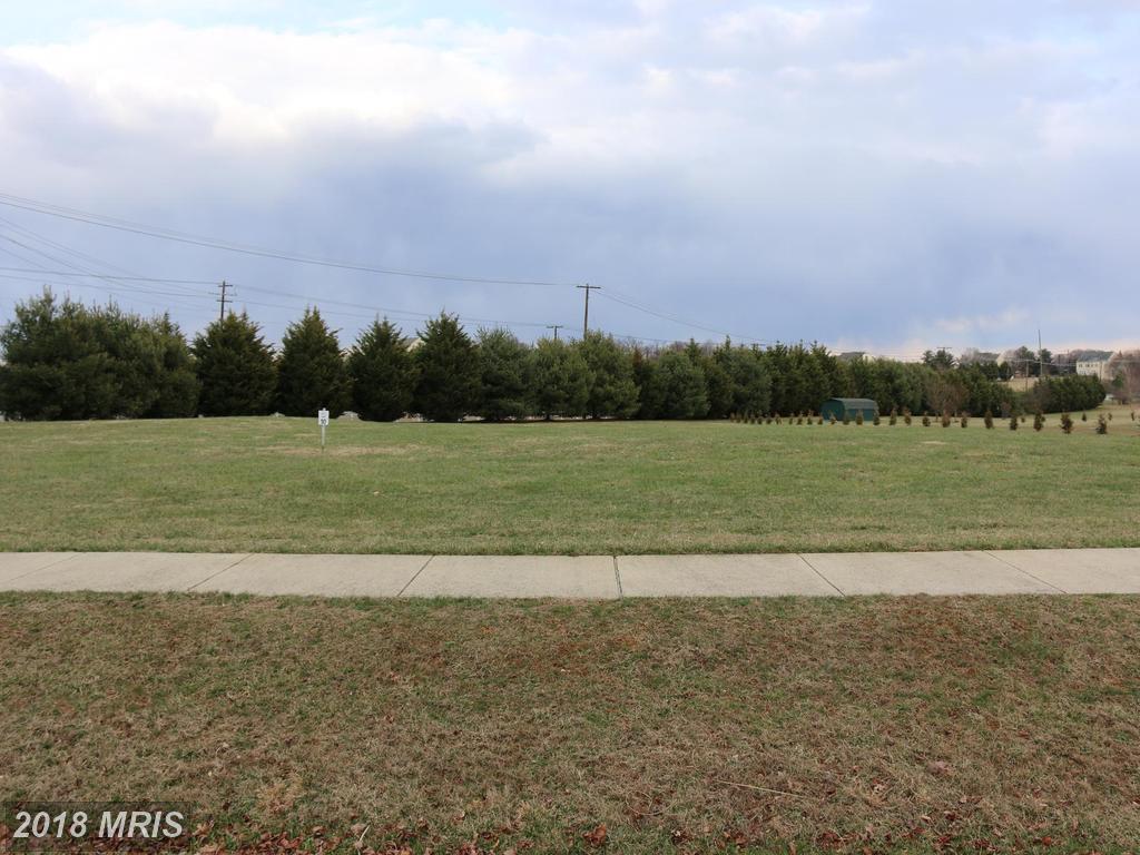 20325 Wiley Court - Photo 1