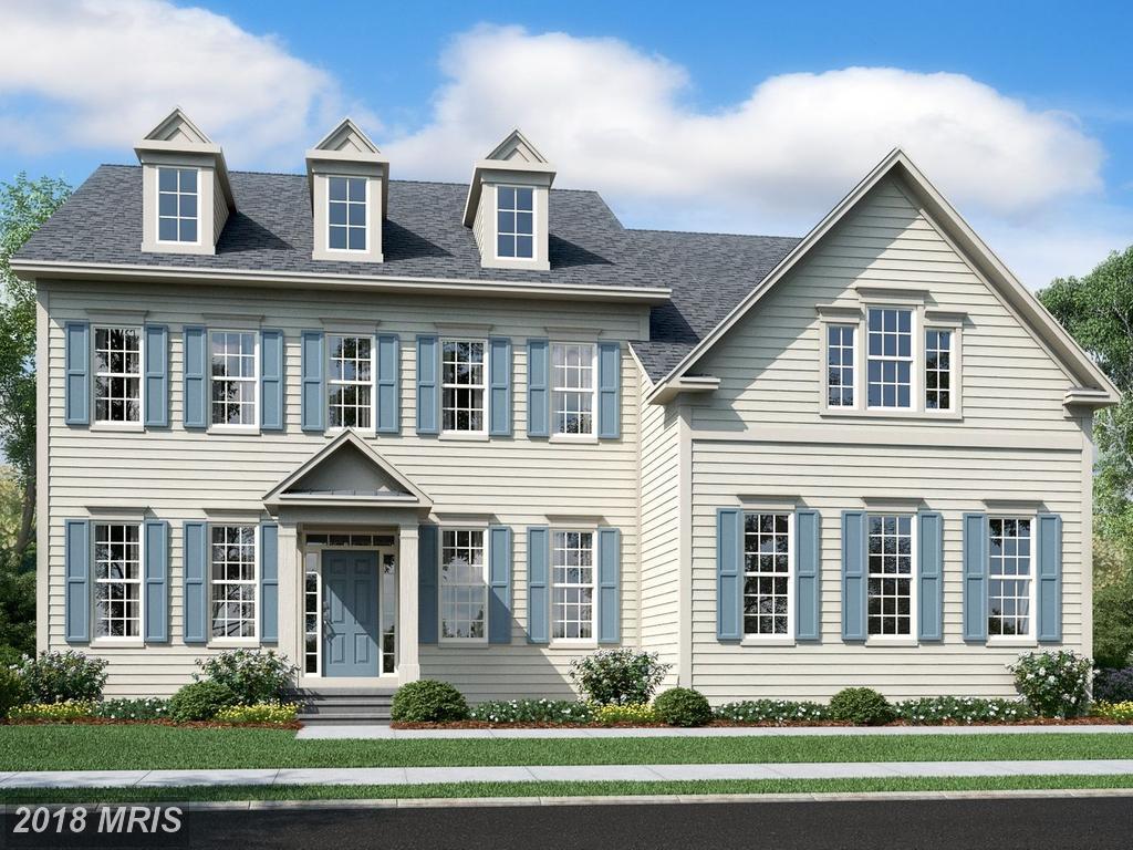 Barberry Lane - Photo 1