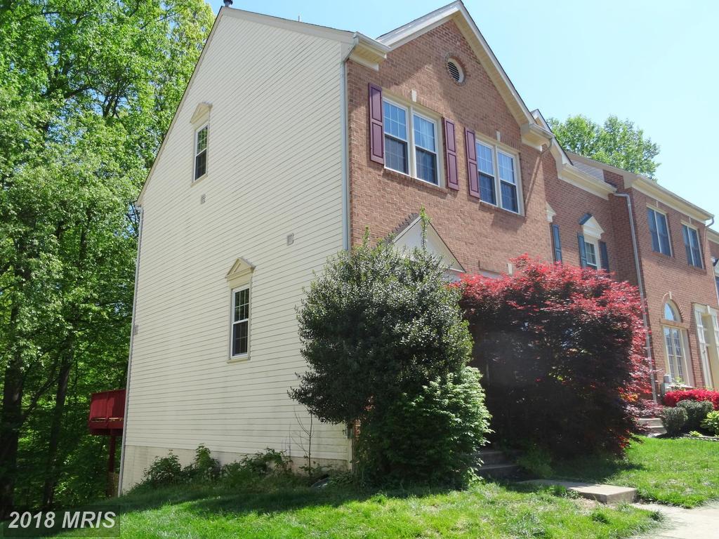 14037 Gallop Terrace - Photo 1