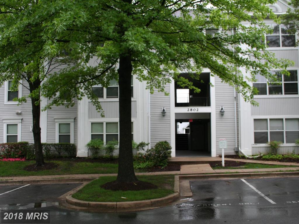 2802 Clear Shot Drive - Photo 1