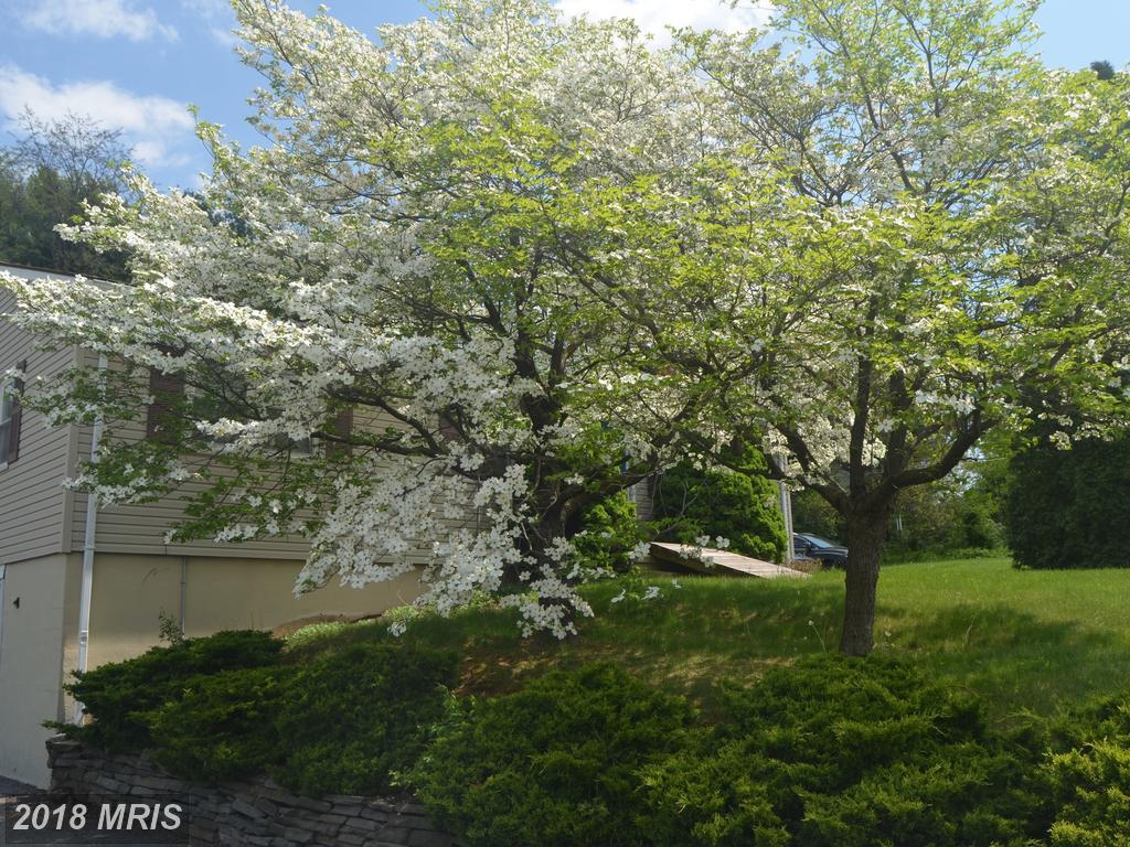 12801 Middlebrook Road - Photo 1
