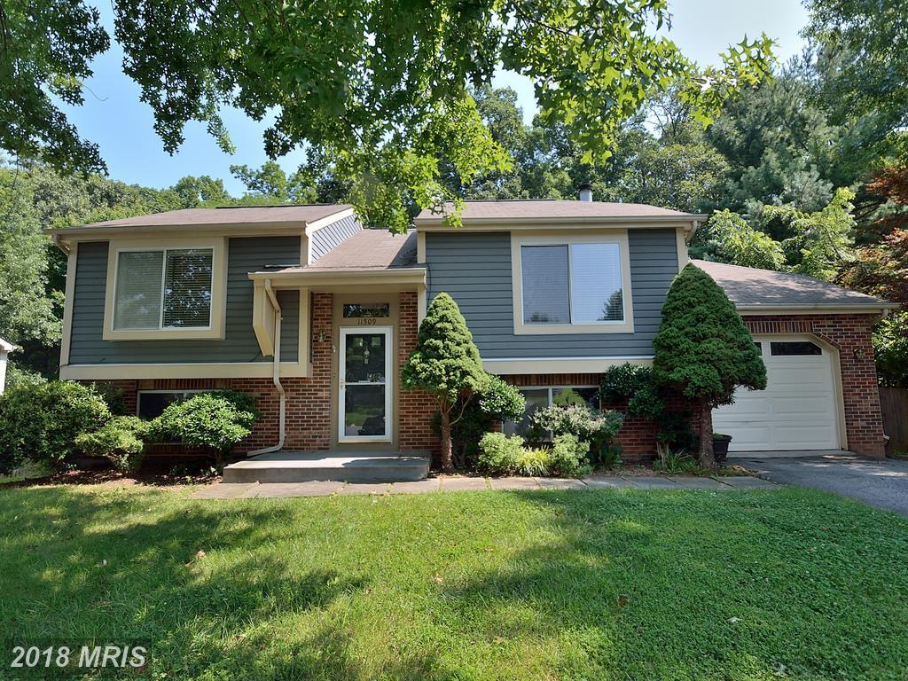 11509 Dragonfire Way - Photo 1