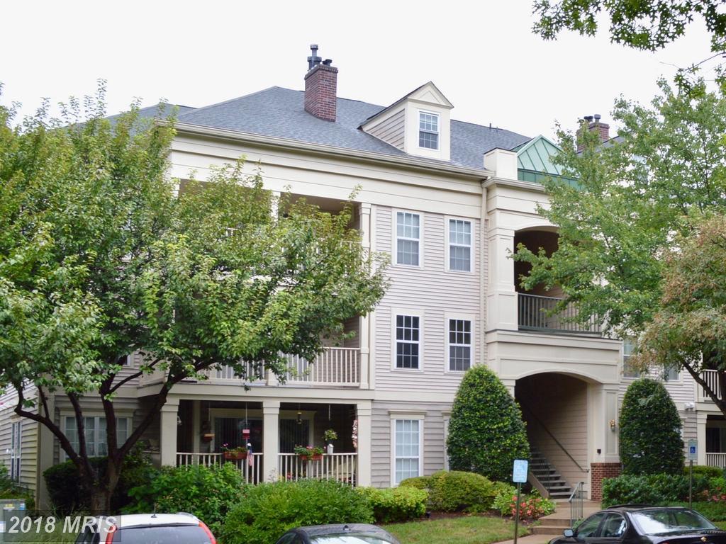 15303 Diamond Cove Terrace - Photo 1