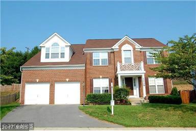 11709 Tall Pines Drive - Photo 1