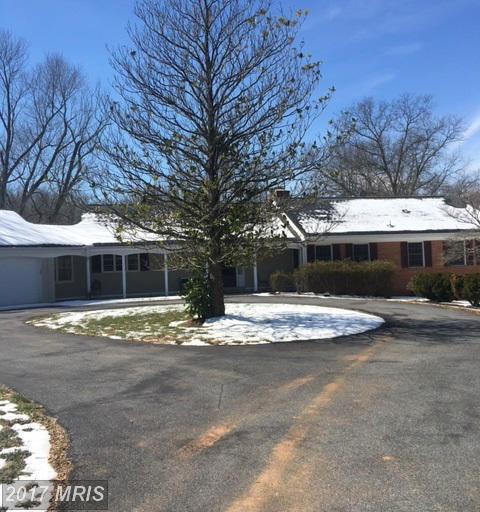 11290 Glen Road - Photo 1