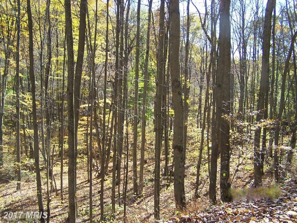Sulphur-Nethkin Road - Photo 1