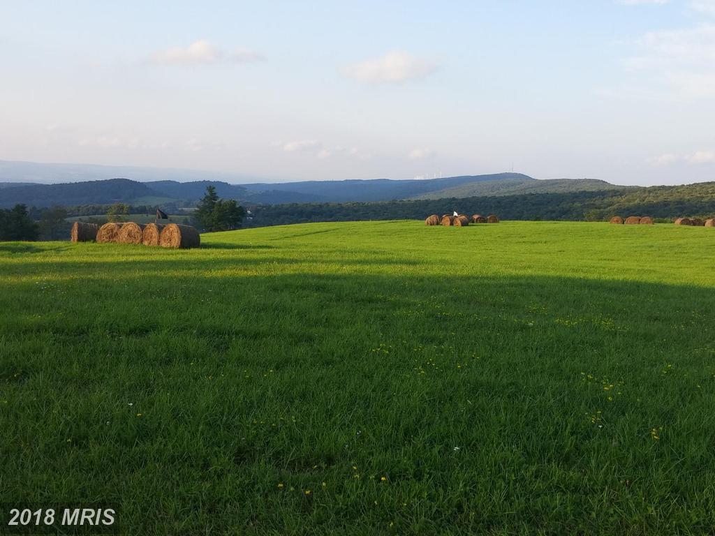 1000 Pinnacle Road - Photo 1