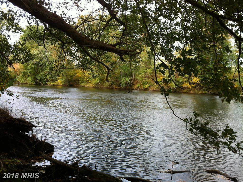 Off Detrick Road - Photo 1