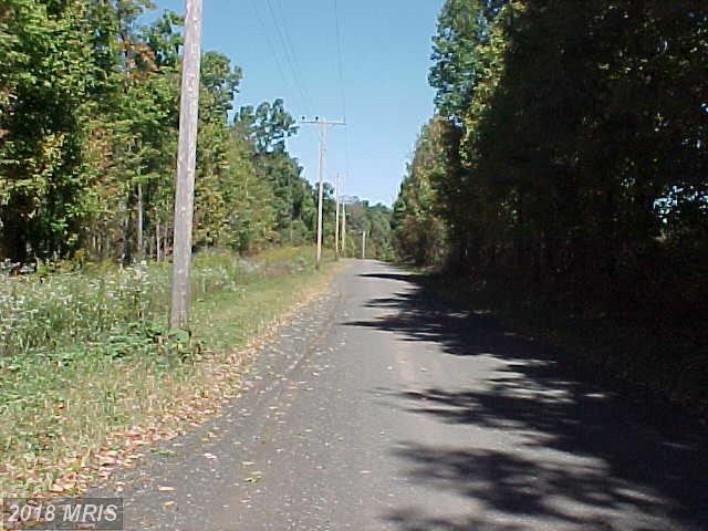 Allegany Mtn Reserve - Photo 1