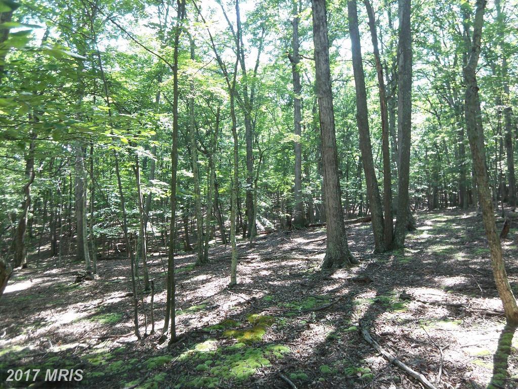 29 Honey Locust Lane - Photo 1