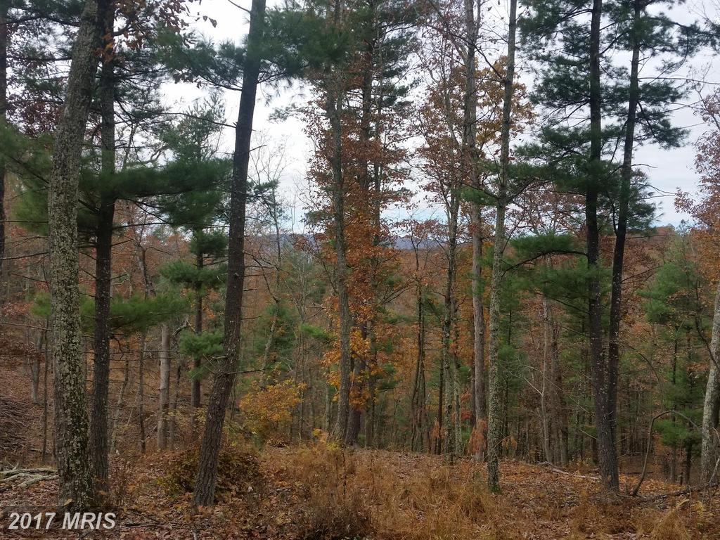 180 Spring Hollow Lane - Photo 1