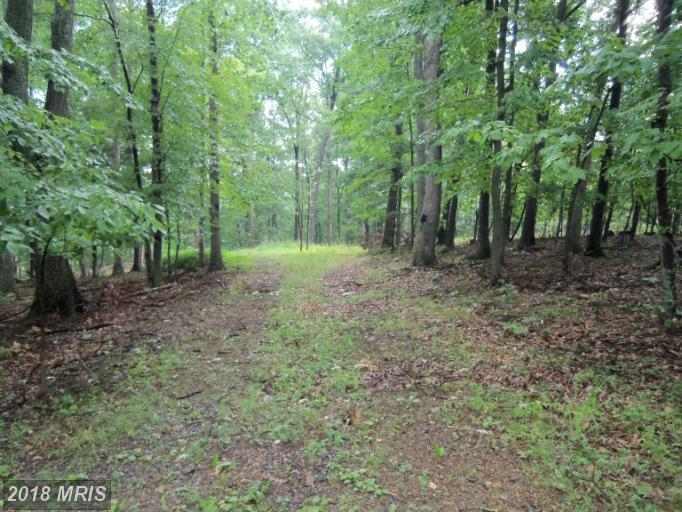 Deerwood Drive - Photo 1