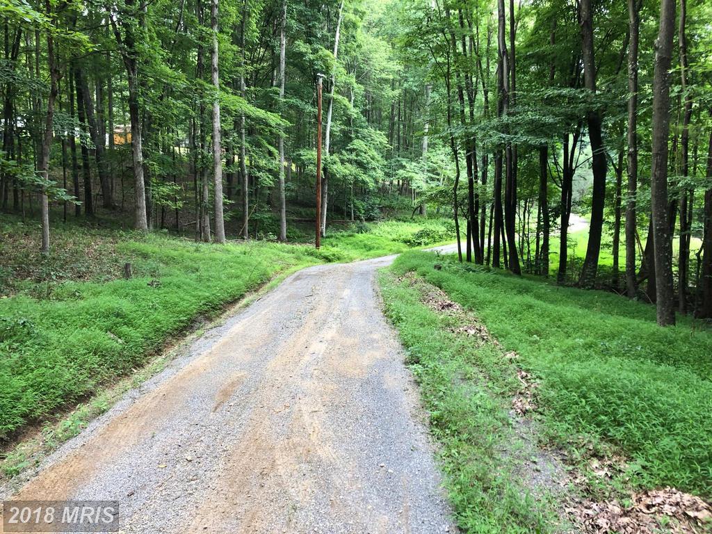 31 Whispering Acres Trail - Photo 1