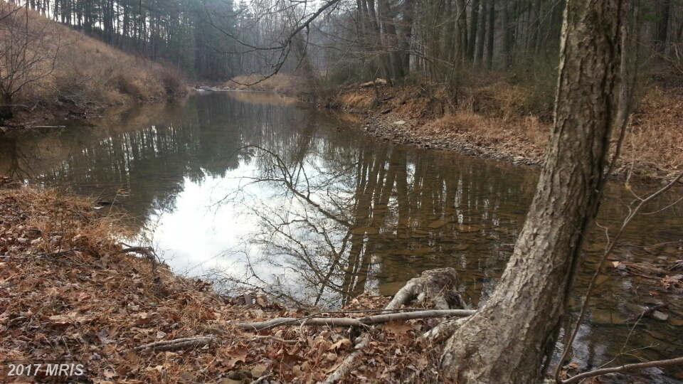Winchester Grade Road - Photo 1