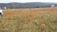 LOT 4 Winchester Grade Road - Photo 1