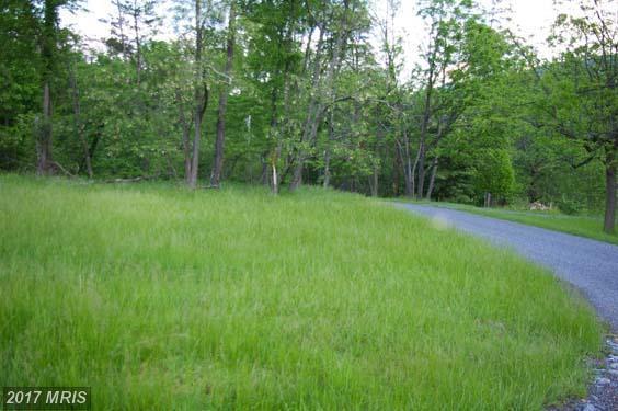 Constant Run Road - Photo 1