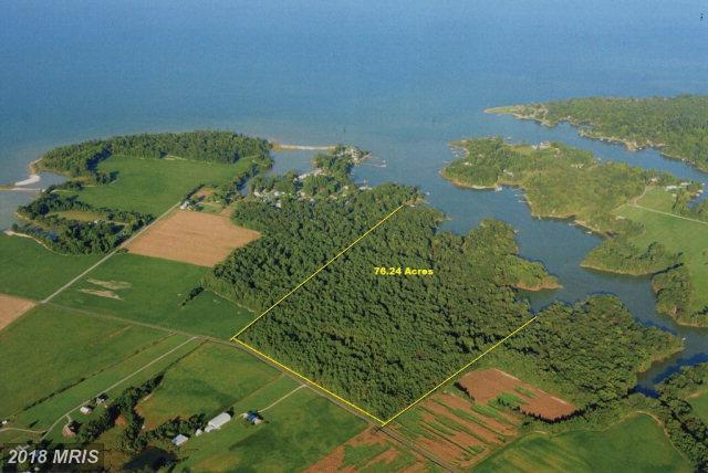 Walnut Point Road - Photo 1