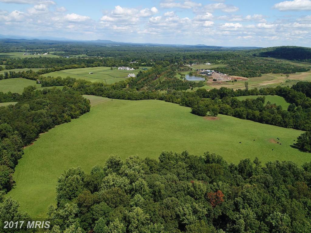 10072 Elijah Craig Road - Photo 1