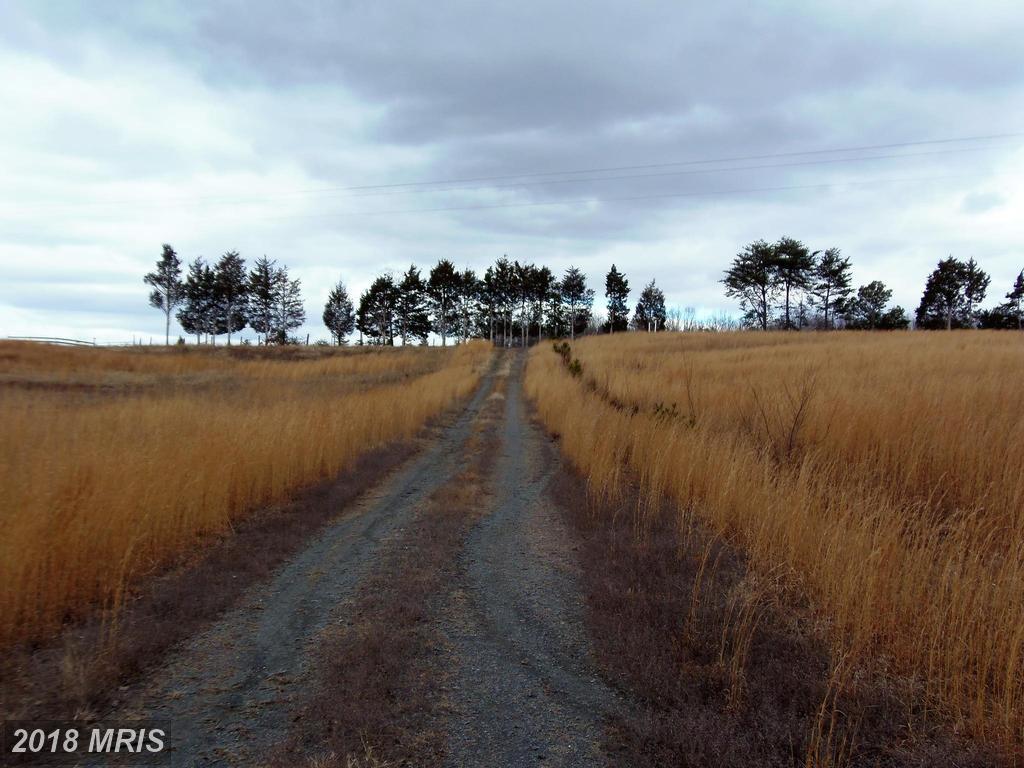 2 Sandra Lane - Photo 1