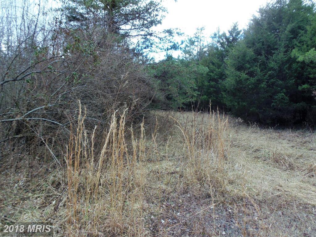 4 Sandra Lane - Photo 1