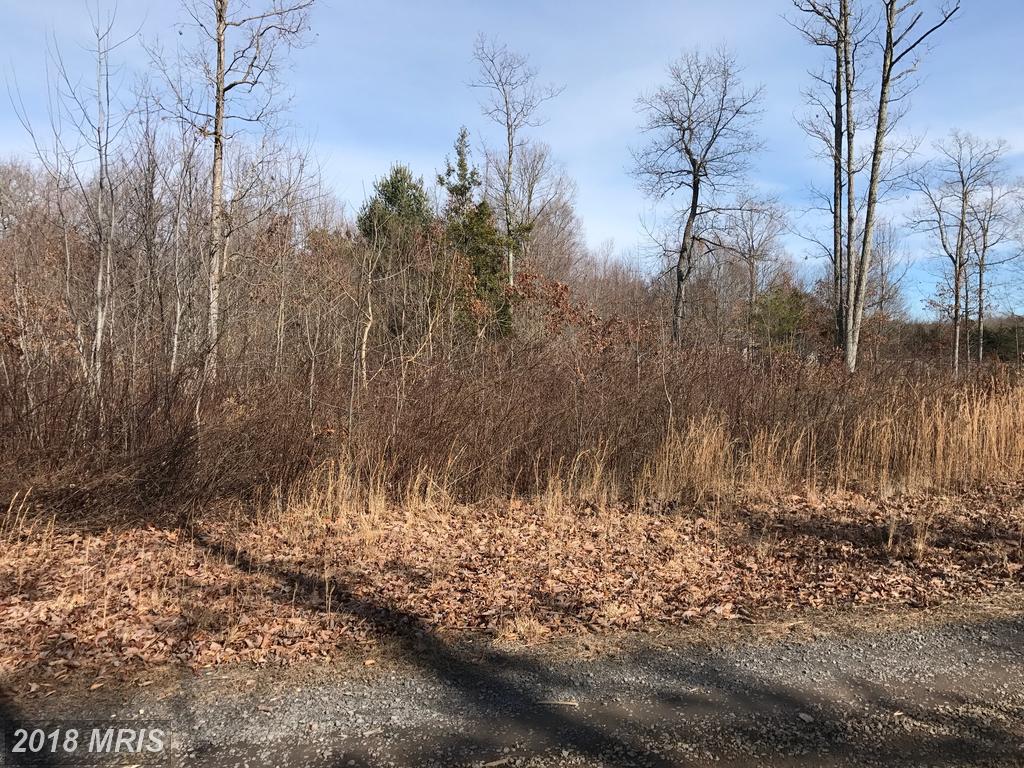 0 Kylies Lane - Photo 1