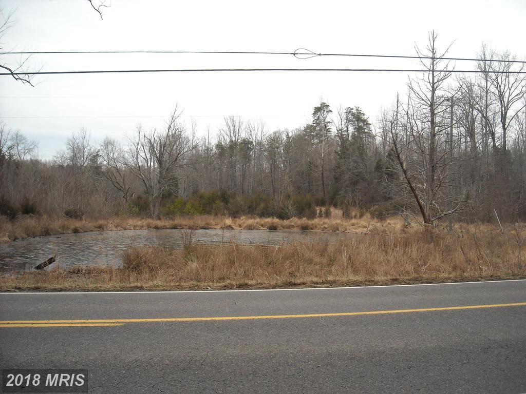 29318 Mine Run Road - Photo 1