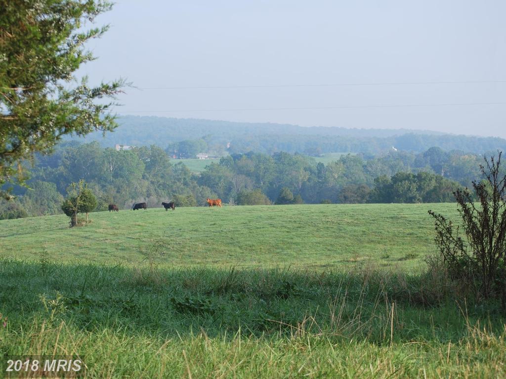 7281 Zachary Taylor Highway - Photo 1