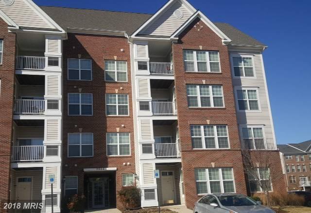 2805 Forest Run Drive - Photo 1