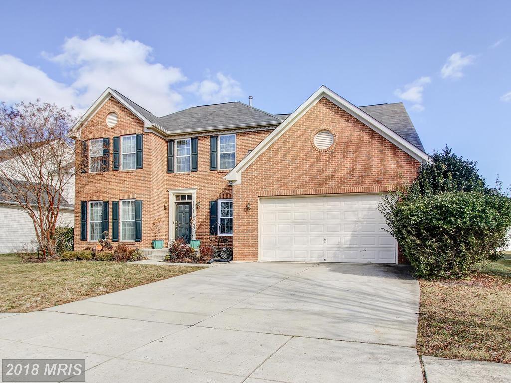 1104 Andean Goose Way - Photo 1