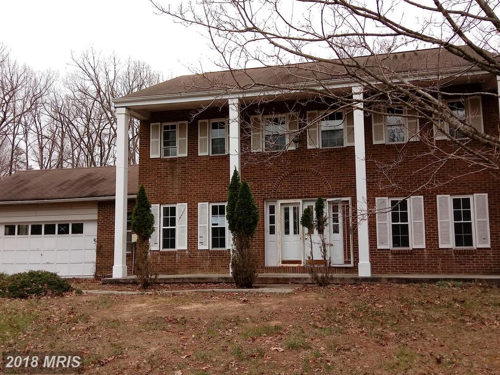11303 Mary Catherine Drive - Photo 1