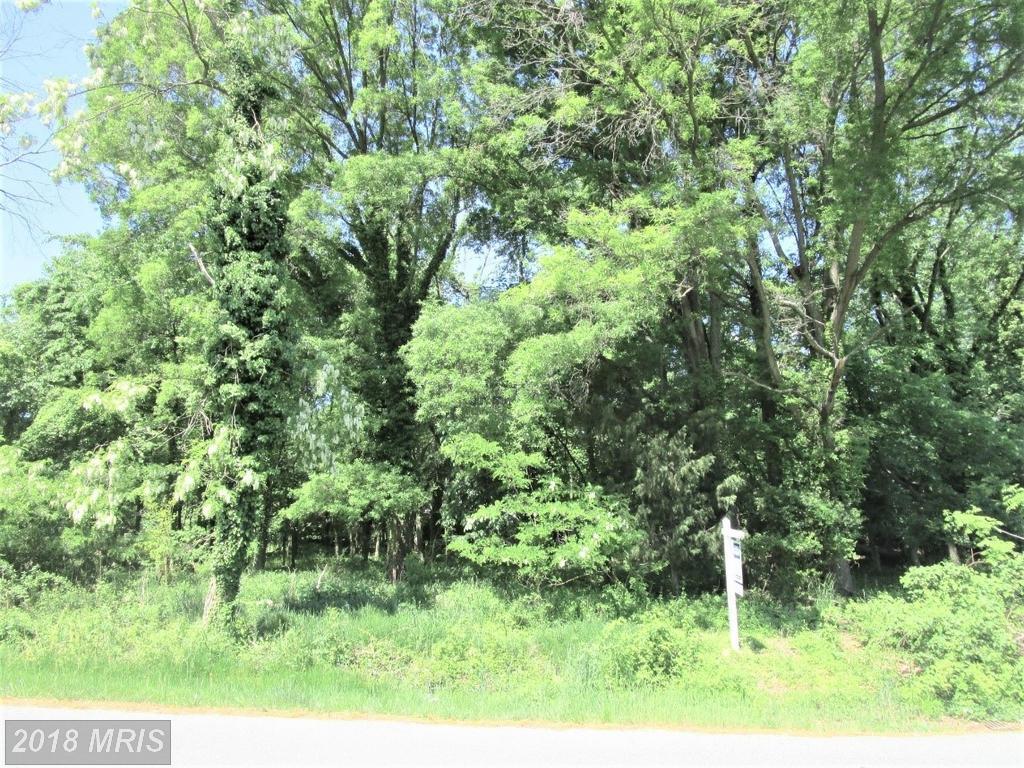 12321 Riverview Road - Photo 1