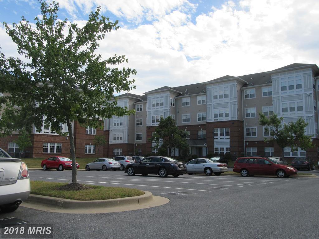 13216 Fox Bow Drive - Photo 1