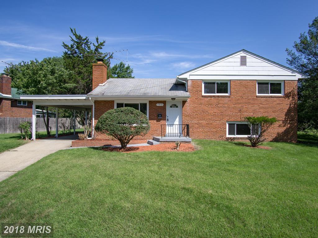 7913 Carey Branch Drive - Photo 1