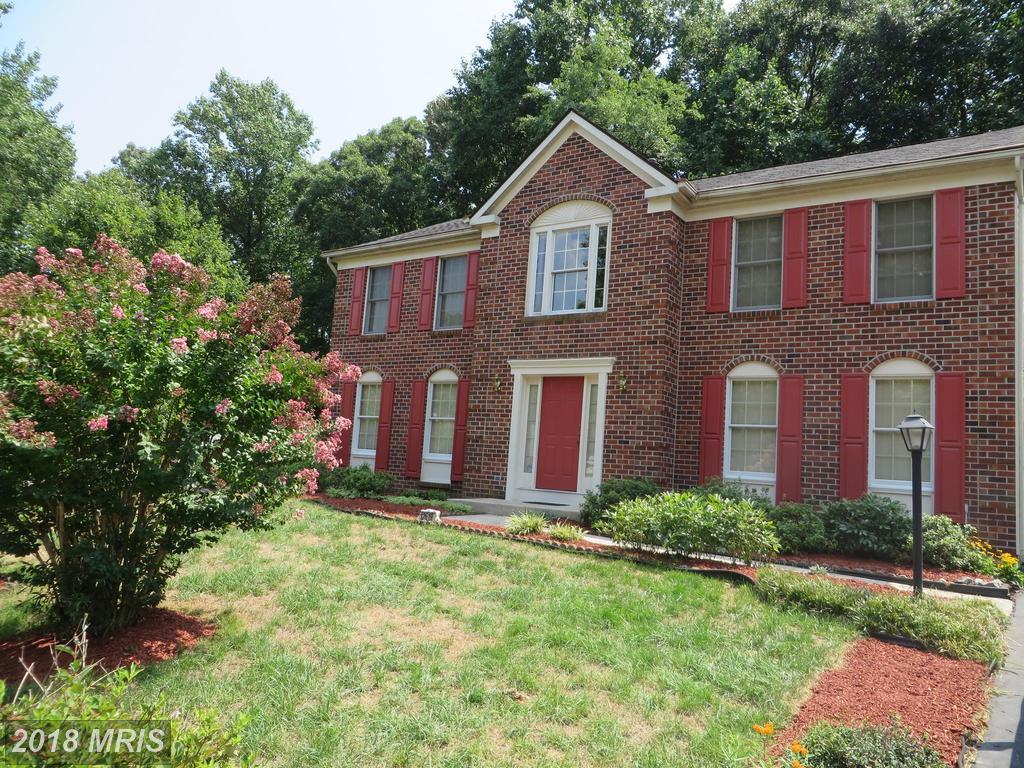 12619 Quaking Branch Court - Photo 1