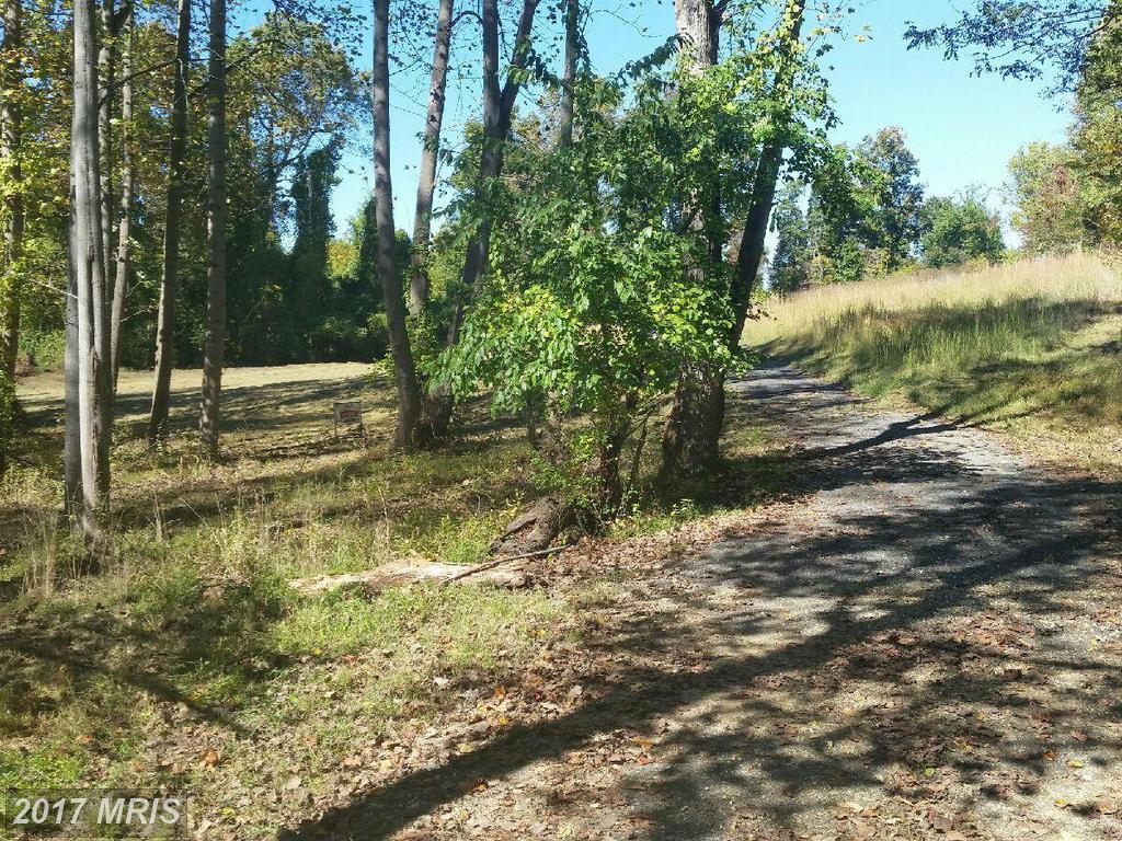 Floral Park Road - Photo 1