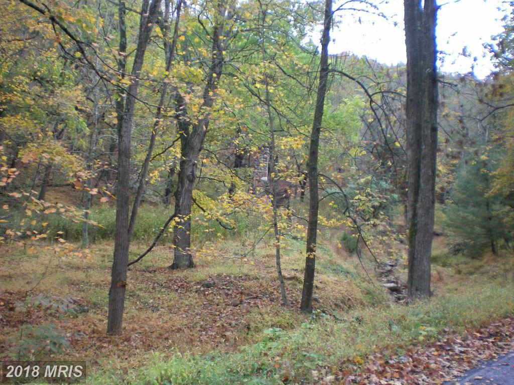0 Dickenson Mountain - Photo 1