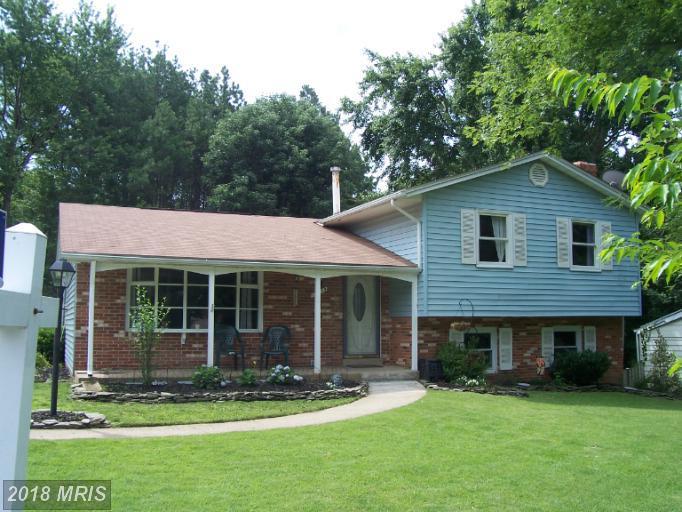 12415 Hatchway Court - Photo 1