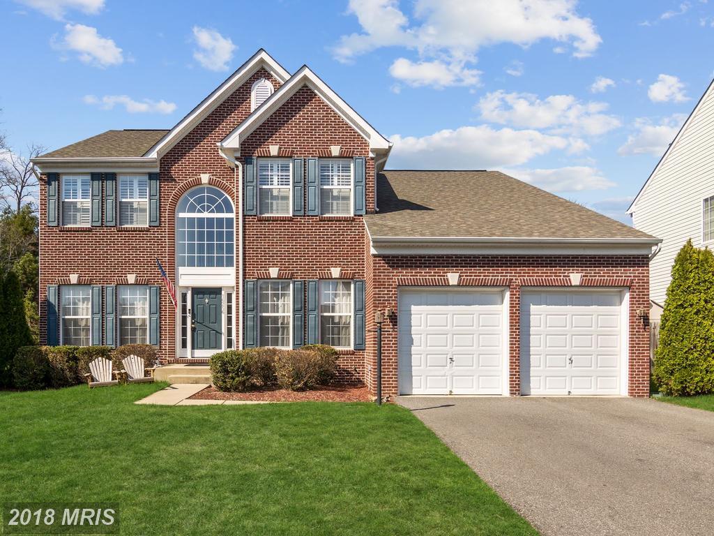 16256 Eagle Flight Circle - Photo 1
