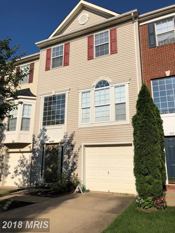 6687 Roderick Loop - Photo 1