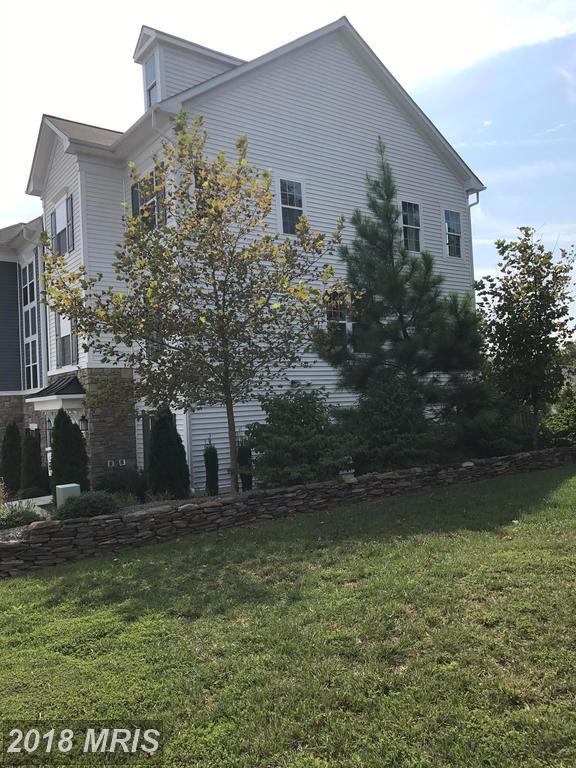 8195 Falls Grove Drive - Photo 1