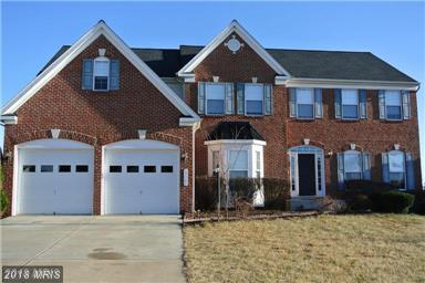 13167 Quade Lane - Photo 1
