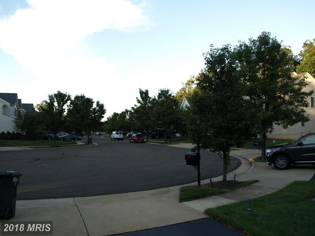 5915 Tulloch Spring Court - Photo 1