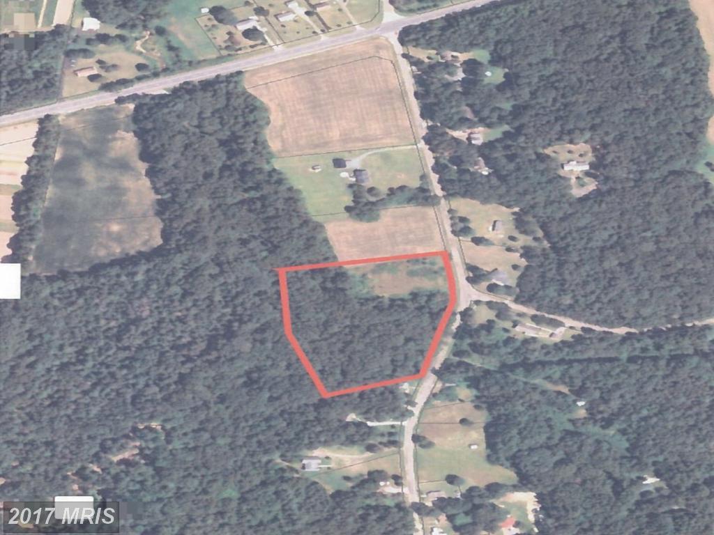 Pine Tree Road - Photo 1