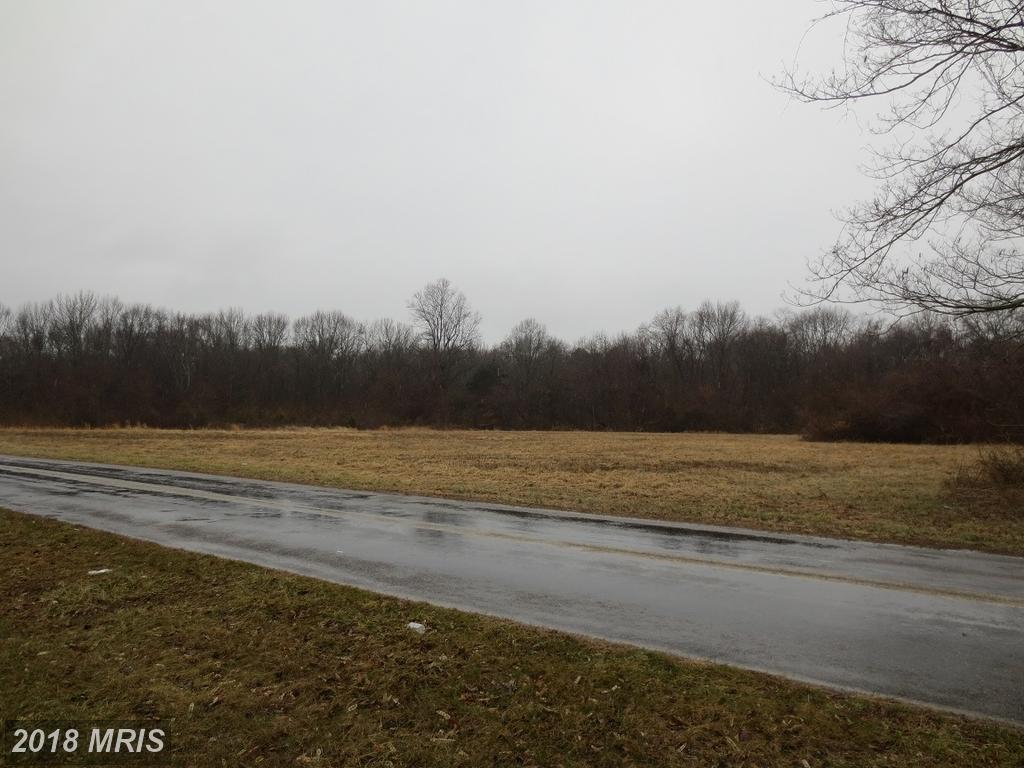 Pine Tree Road - Photo 1